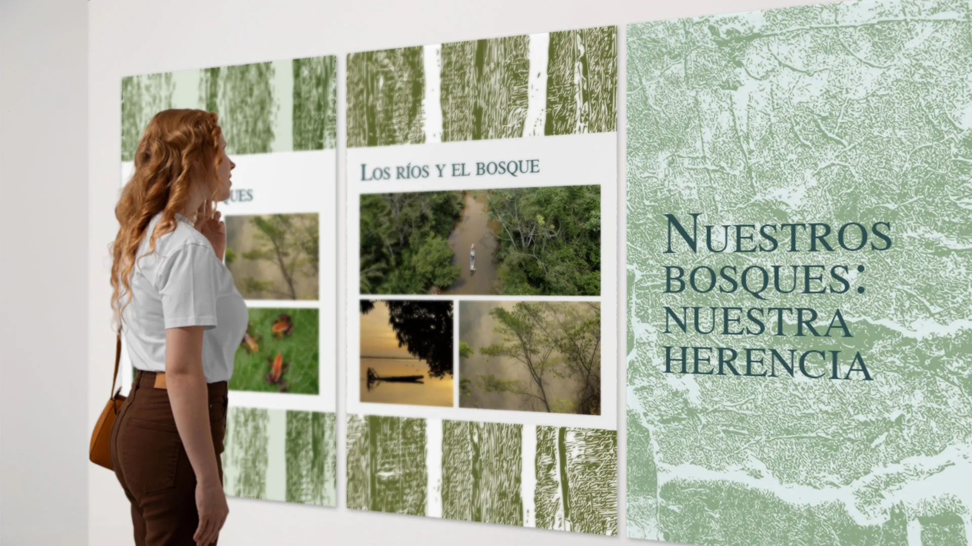 Nuestros bosques: Nuestra herencia 1